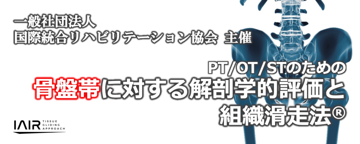 PT/OT/STのための骨盤帯に対する解剖学的評価と組織滑走法® | IAIR LP