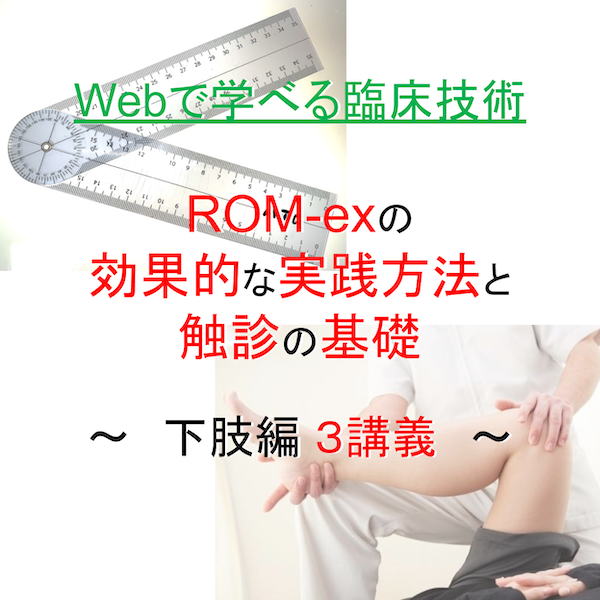 ROM-ex下肢