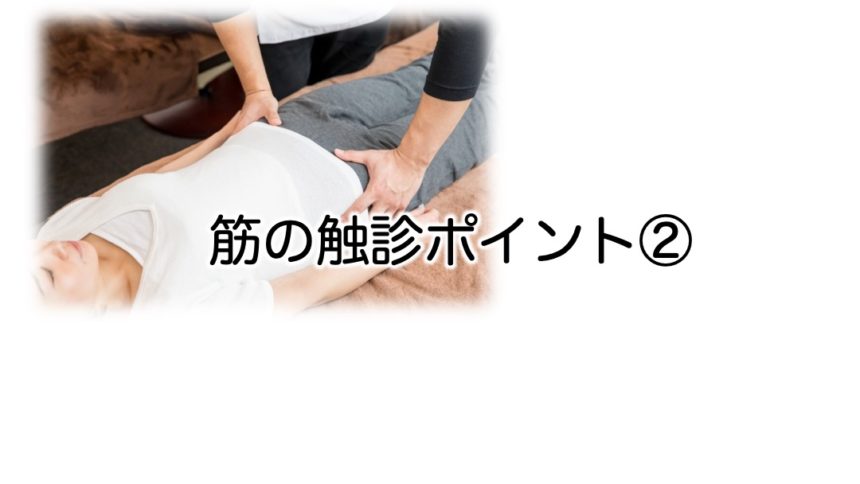 触診検査はどのように機能し、何を特定できるのでしょうか?