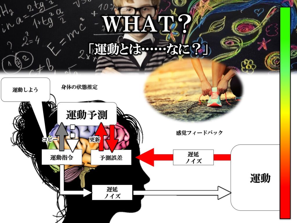 イメージフィードバック