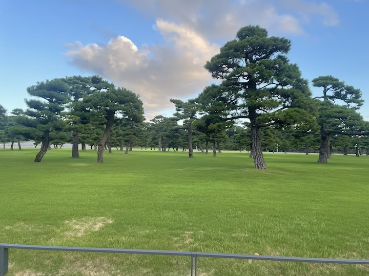 皇居