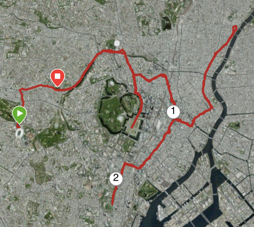 齋藤Garminデータ
