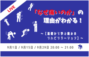 疼痛基礎
