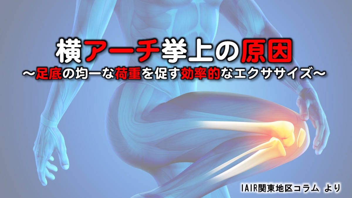 足底アーチ
