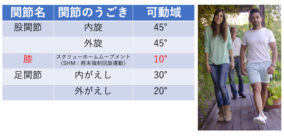 膝の可動域