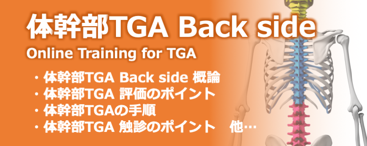 体幹部TGA Back side